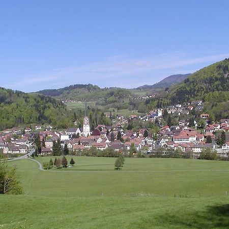 Parkhotel Sonne Schönau im Schwarzwald Dış mekan fotoğraf