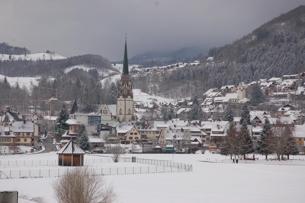 Parkhotel Sonne Schönau im Schwarzwald Dış mekan fotoğraf