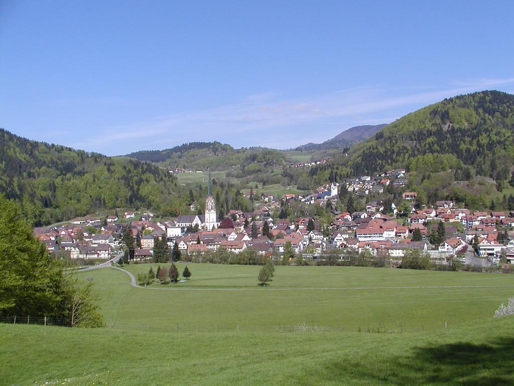 Parkhotel Sonne Schönau im Schwarzwald Dış mekan fotoğraf